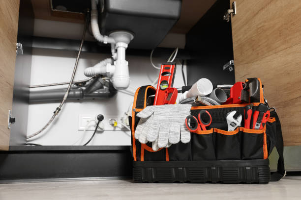 Best Affordable Plumber Near Me  in Fish Hawk, FL